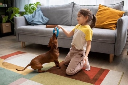 Menina brincando com cachorro.