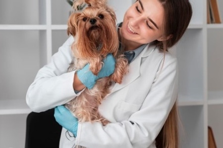 Cachorro e uma veterinária.
