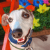Cachorro com rosto claro com flores ao fundo